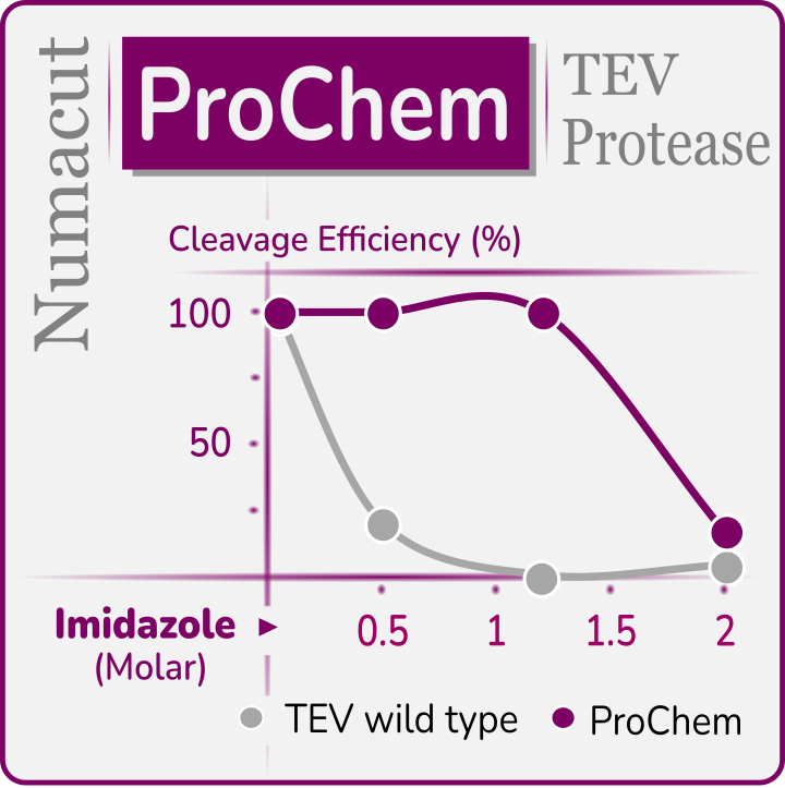 ProChem TEV Protease