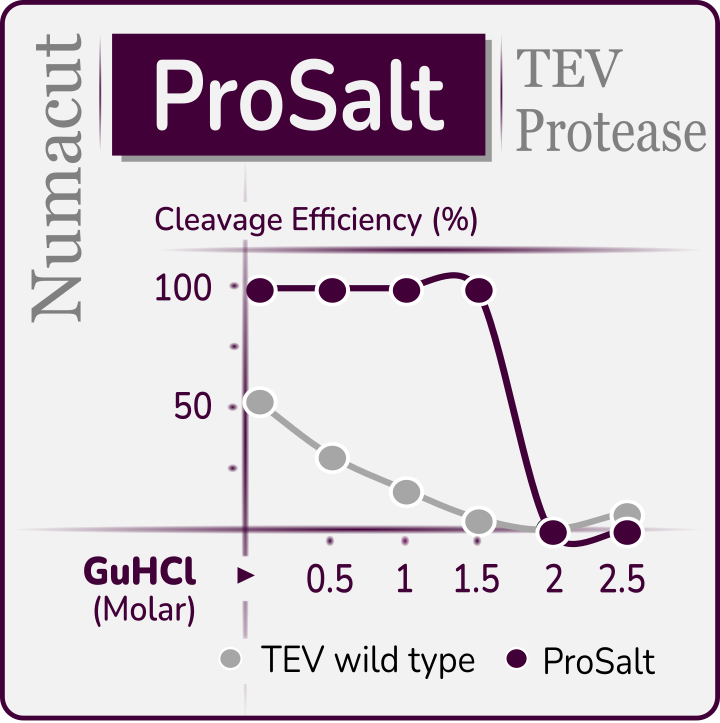 ProSalt TEV Protease